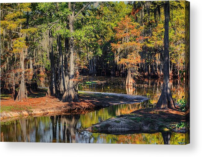 Autumn Acrylic Print featuring the photograph Autumn Swamp by Ester McGuire