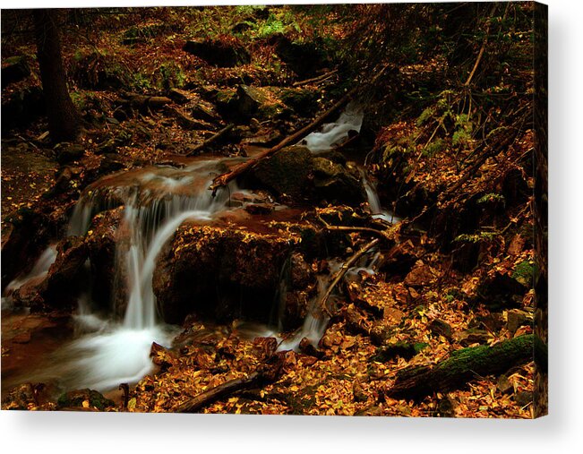 Colorado Acrylic Print featuring the photograph Autumn Washed Away by Jeremy Rhoades
