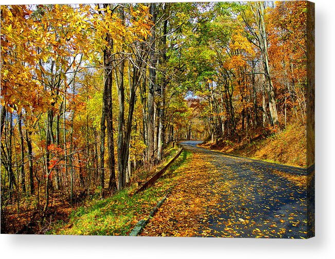 Fall Acrylic Print featuring the photograph Autumn Winding Road by Kevin Cable