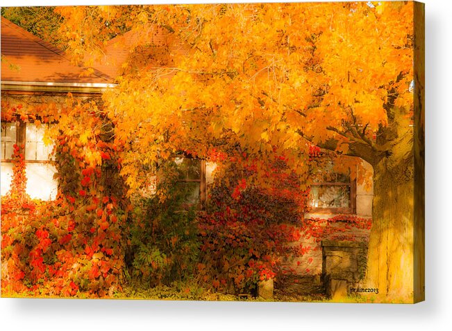 Autumn Acrylic Print featuring the photograph Autumn's Camouflage by Patti Raine