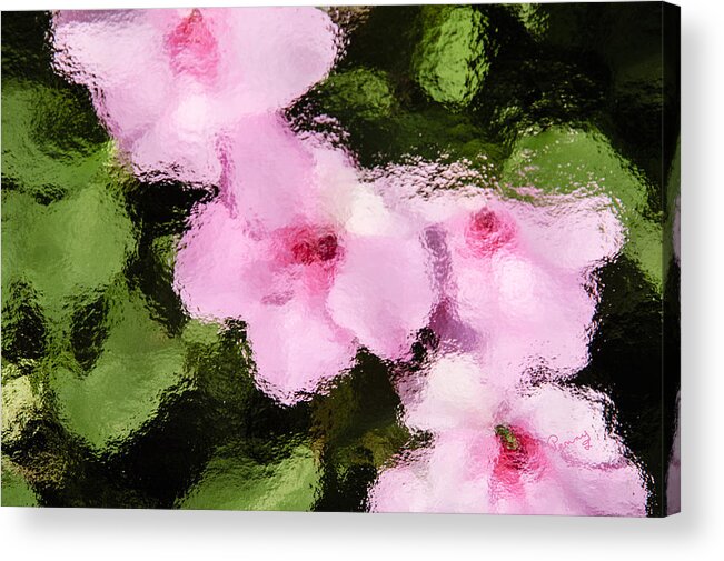 Flowers Acrylic Print featuring the photograph Azaelas Under Glass by Penny Lisowski
