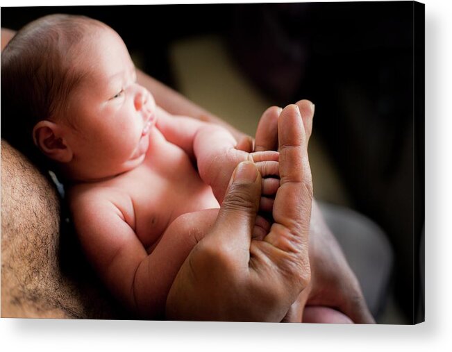 Human Acrylic Print featuring the photograph Baby Boy Holding His Father's Hand by Samuel Ashfield