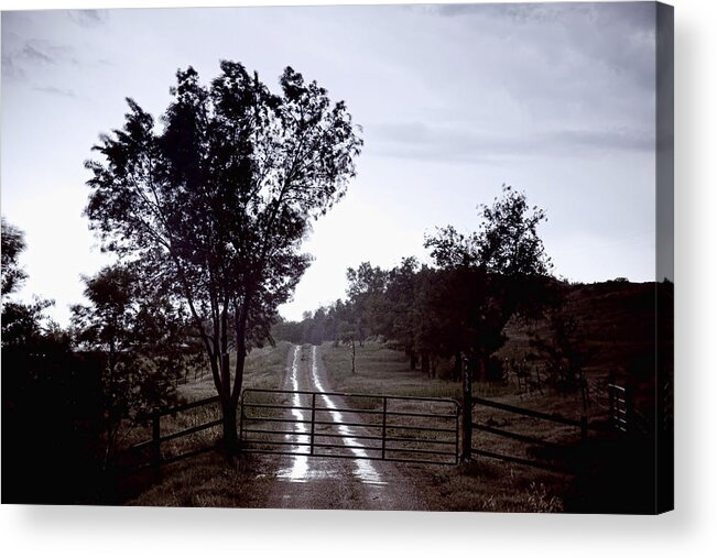 Road Acrylic Print featuring the photograph Back Country Road And Then The Rain Came by James BO Insogna
