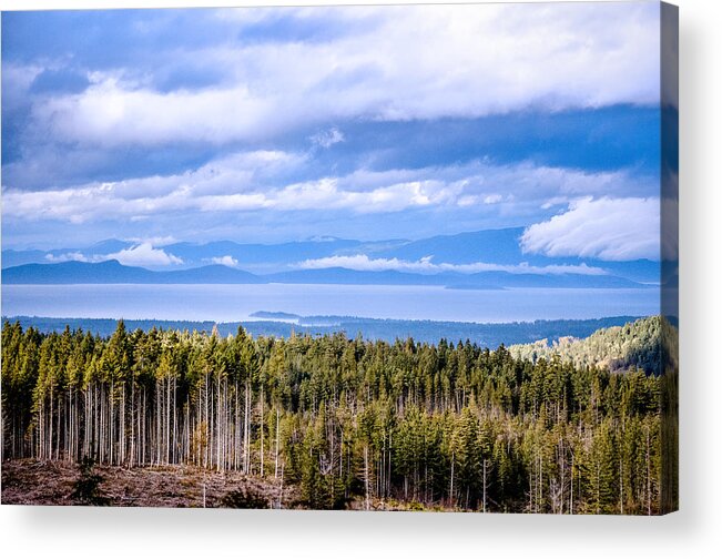 Backroad Acrylic Print featuring the photograph Johnstone Strait High Elevation View by Roxy Hurtubise