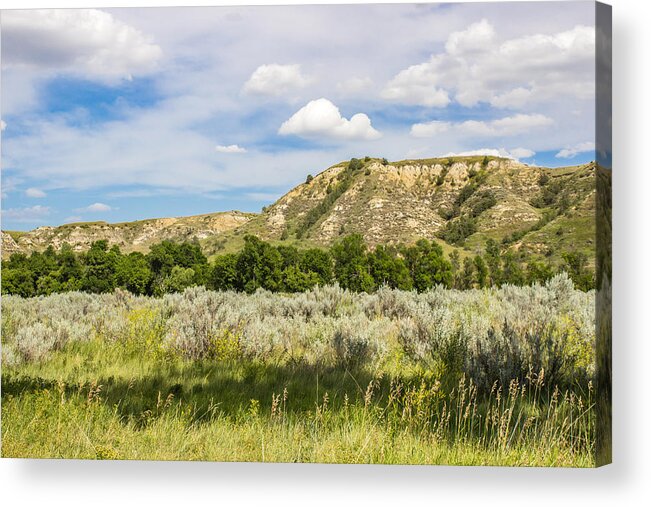 Badlands Acrylic Print featuring the photograph Badlands 55 by Chad Rowe