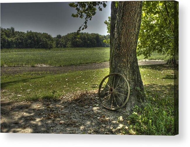 Brandywine Acrylic Print featuring the photograph Balance by DArcy Evans