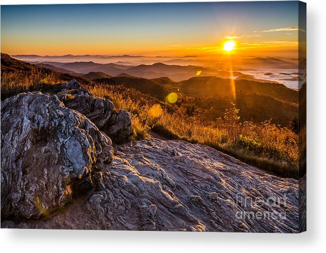 Black Balsam Knob Acrylic Print featuring the photograph Golden by Anthony Heflin