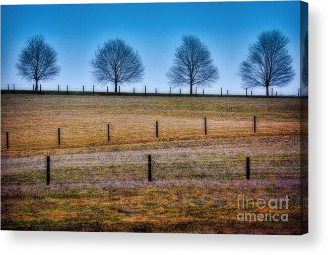 Trees Acrylic Print featuring the photograph Bare Trees and Fence Posts by Henry Kowalski