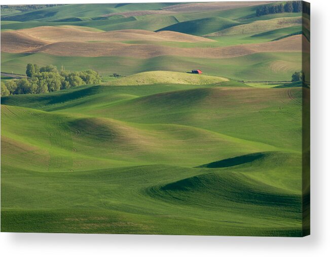 Palouse Acrylic Print featuring the photograph Barn Among the Contours by Mary Lee Dereske