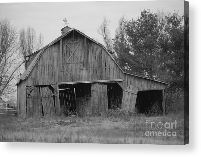 Barn Acrylic Print featuring the photograph barn in Kentucky no 5 by Dwight Cook