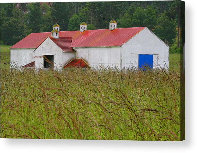 San Juan Island Acrylic Print featuring the photograph Barn with Blue Door by Art Block Collections