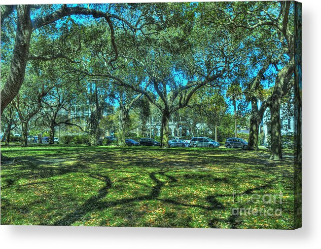 Live Acrylic Print featuring the photograph Battery Live Oaks by Ules Barnwell