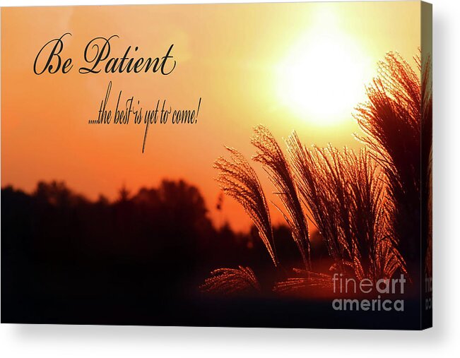 Patience Acrylic Print featuring the photograph Be Patient by Cathy Beharriell