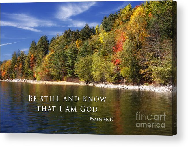 Forest Acrylic Print featuring the photograph Be Still And Know That I Am God by Jill Lang