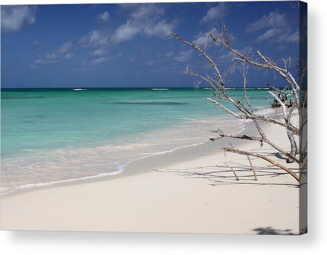 Beach Acrylic Print featuring the photograph Beach Music by Eric Glaser