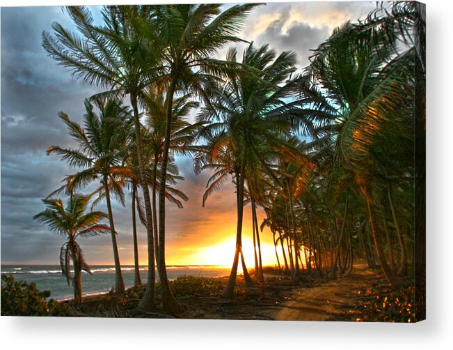 Palms Acrylic Print featuring the photograph Beach Road by Robert Och