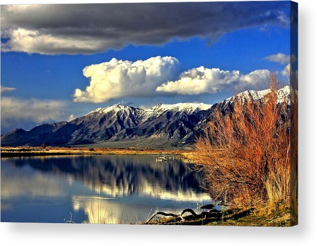 Bear River Acrylic Print featuring the photograph Bear River Spring by Roxie Crouch