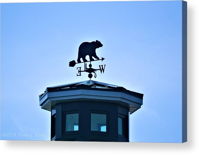 Bear Acrylic Print featuring the photograph Bear Weathervane by Tara Potts