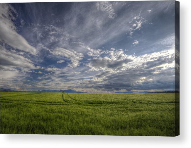 Agricultural Acrylic Print featuring the photograph Beautiful countryside by Ivan Slosar