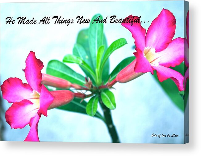 All Products Acrylic Print featuring the photograph Beautiful Flower by Lorna Maza