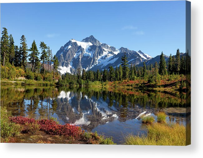 Grass Acrylic Print featuring the photograph Beauty In Nature by Kingwu