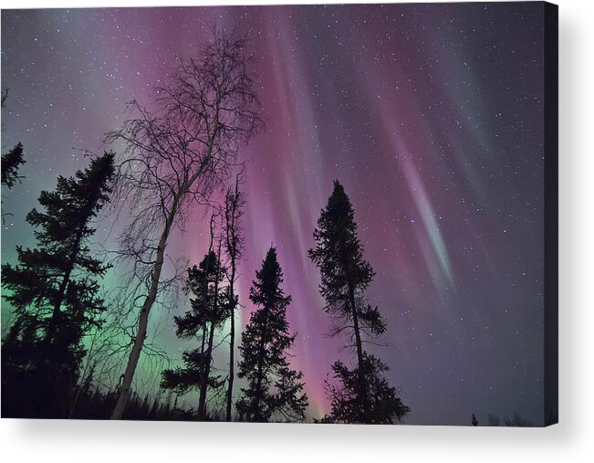 Aurora Borealis Acrylic Print featuring the photograph Beauty of a Night by Valerie Pond