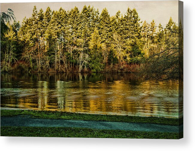 Water Acrylic Print featuring the photograph Beaver Lake by Marilyn Wilson