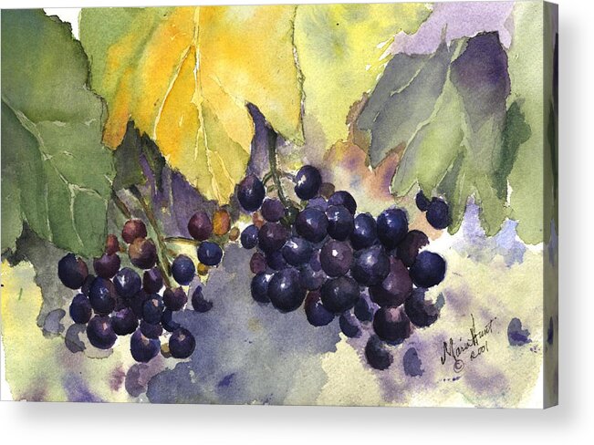 Vineyard Acrylic Print featuring the painting Before the Harvest by Maria Hunt