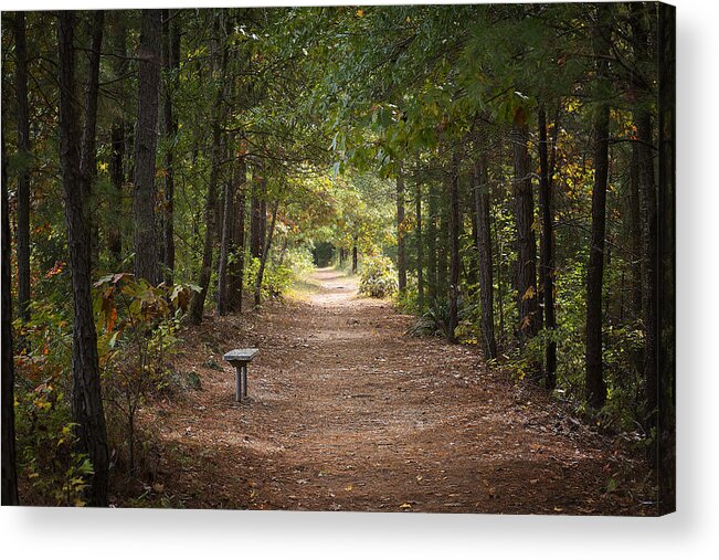 Hike Acrylic Print featuring the photograph Bench Along the Trail by Mark McKinney