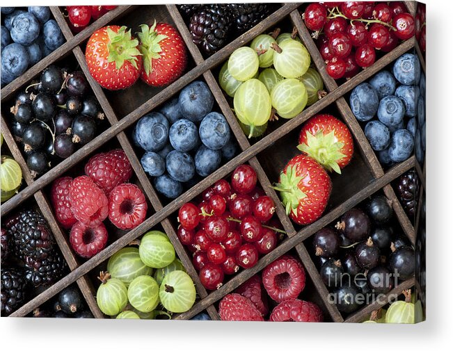 Red Acrylic Print featuring the photograph Berrylicious by Tim Gainey