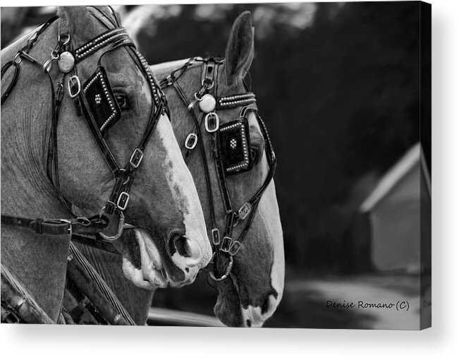 Black And White Acrylic Print featuring the photograph Big Boys by Denise Romano