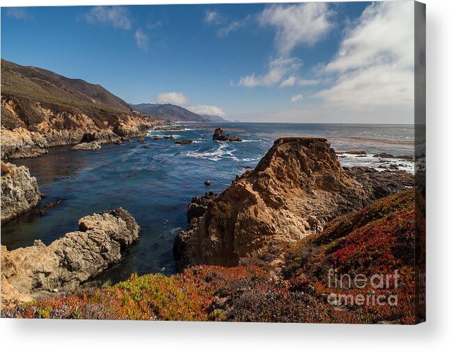 Big Sur Acrylic Print featuring the photograph Big Sur Vista by Mike Reid