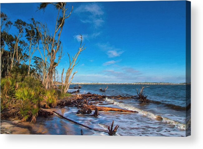 Beach Acrylic Print featuring the photograph Big Talbot Island Beach by John M Bailey