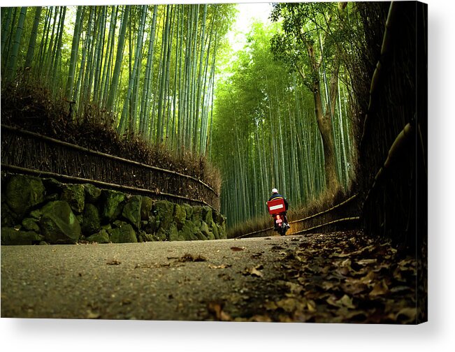 Crash Helmet Acrylic Print featuring the photograph Bike Running Through Bamboo Grove by Marser