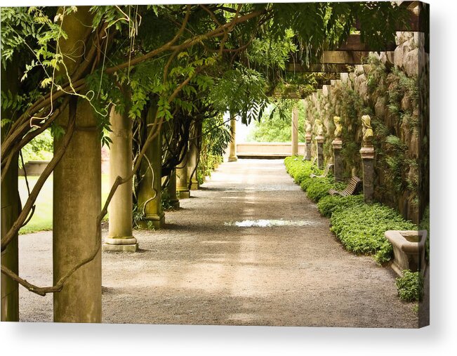 Biltmore House Acrylic Print featuring the photograph Biltmore Pergola by Tammy Schneider