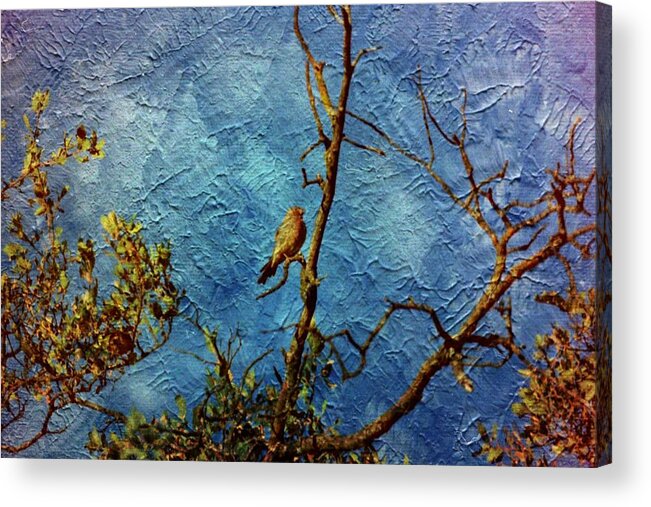 Birds Acrylic Print featuring the photograph Bird as a painting by Karl Rose