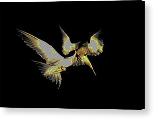 Birds Acrylic Print featuring the digital art Birds Fighting by Mary Russell