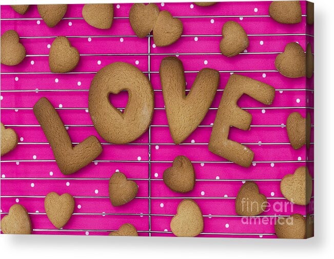 Love Acrylic Print featuring the photograph Biscuit Love by Tim Gainey
