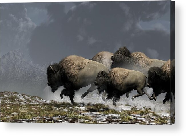 Bison Acrylic Print featuring the digital art Bison Stampede by Daniel Eskridge