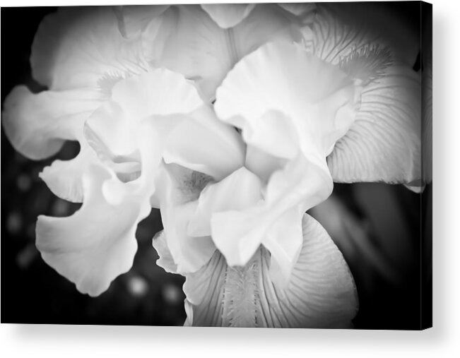 Hibiscus Acrylic Print featuring the photograph Black and White Hibiscus by Kara Stewart