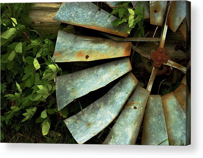 Rural Acrylic Print featuring the photograph Blades by Chuck De La Rosa