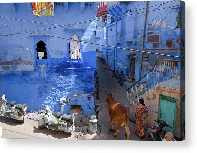 Alley Acrylic Print featuring the photograph Blue City, Jodhpur, Rajasthan, India by Peter Adams