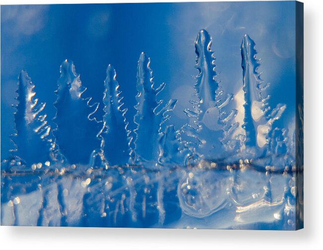 Ice Acrylic Print featuring the photograph Blue Ice Forest at the Edge of a Blue Ice Lake by Steve Myrick