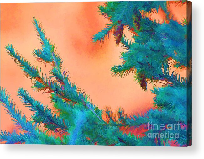Blue Acrylic Print featuring the photograph Blue Spruce Orange Sky by Audreen Gieger