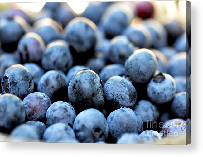 Blueberry Acrylic Print featuring the photograph Blueberries by Tatyana Searcy