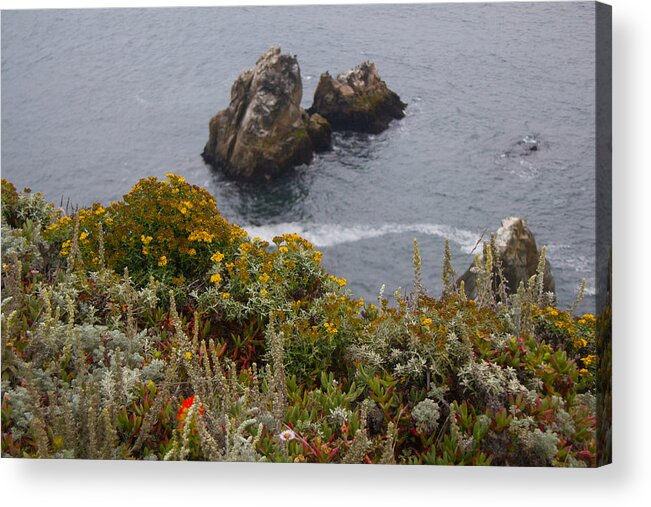 California Acrylic Print featuring the photograph Bodega Flowers by Ryan Moyer