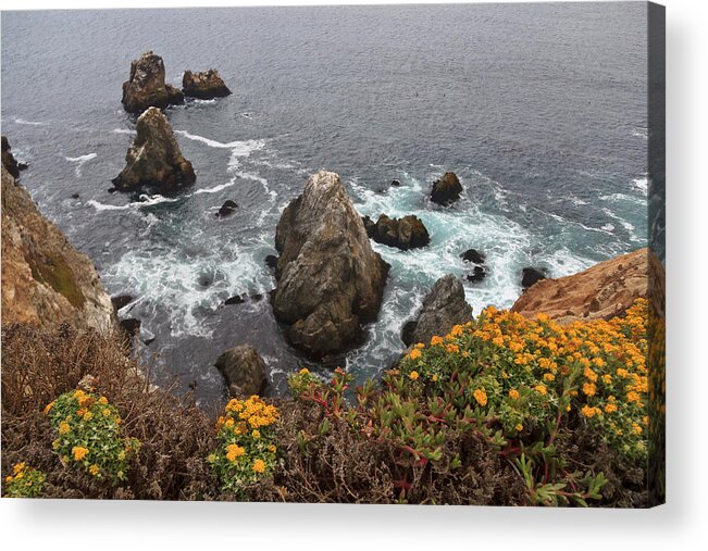 California Acrylic Print featuring the photograph Bodega Wildflowers by Ryan Moyer
