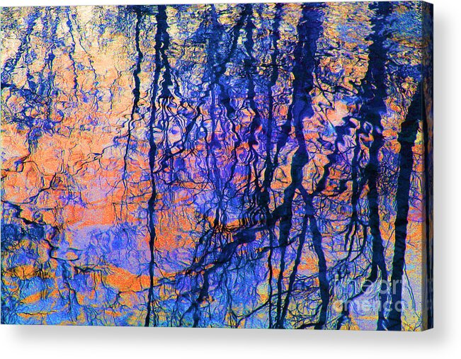 Outdoors Acrylic Print featuring the photograph Bold Tree Reflections by Karen Adams