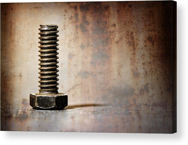 2015 Acrylic Print featuring the photograph Bolted by Sandra Parlow