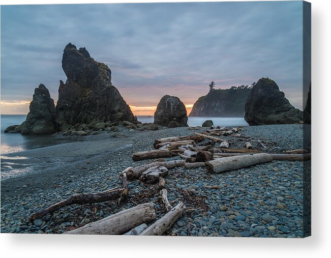 Olympic National Park Acrylic Print featuring the photograph Bone Yard by Kristopher Schoenleber